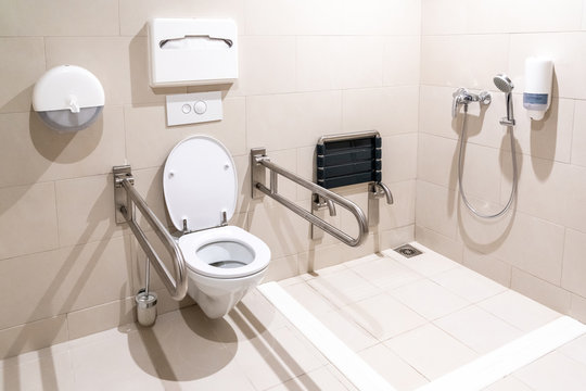 Disabled-Accessible Toilet System